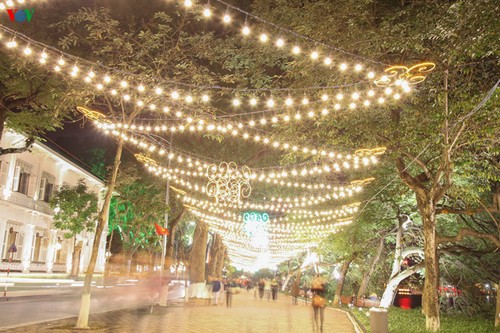 Hanoi accueille le Nouvel An en lumières et en couleurs - ảnh 3